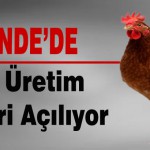 Darende’de Tavuk Üretim Çiftlikleri Açılıyor