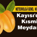 Kayısı’da Bu Yıl Kısmi Hazar Meydana Geldi