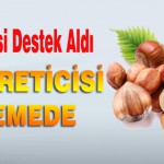 Fındık Üreticisi Destek Aldı Kaysı Üreticisi Beklemede