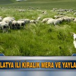 Malatya İli Kiralık mera ve yaylalar