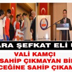 Çınarlara Şefkat Eli Uzatıldı