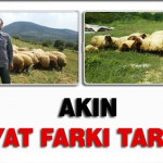 Akın Ette Fiyat Farkı Tartışması