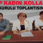 CHP Kadın Kolları Danışma Kurulu Toplantısını Yaptı