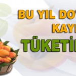 Bu Yıl Kayısı Doya Doya Tüketilecek