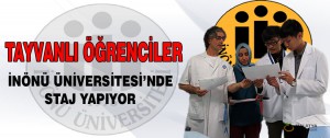 Tayvanlı Öğrenciler, İnönü Üniversitesi’nde Staj Yapıyor