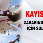 Don Zararından Korunmak İçin Sulama Önerisi