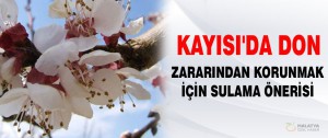 Don Zararından Korunmak İçin Sulama Önerisi