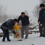 Hayvanlar Soğuktan Ölmez, Açlıktan Ölür