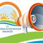 2015 Yılı Besilik Erkek Sığır Desteklemesi 3.Döncm Takvimi