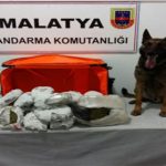 Jandarmadan Asayiş Uygulaması