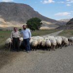 Akın, Yeşilyurt İlçesine Bağlı Yaylaları Ziyaret Etti