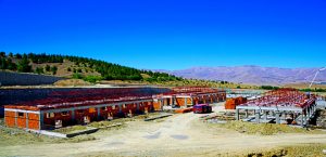 Sokak Hayvanları Doğal Ortamda Barınacak