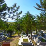 İlçe ve Kırsal Mahalle Mezarlıkların Etrafı Kafes Tel İle Çevriliyor