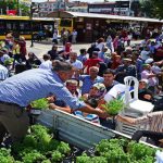 Haşereyle Mücadelede Doğal Yöntemler De Tercih Ediliyor