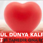 29 Eylül Dünya Kalp Günü