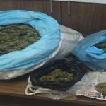 Malatya’da Uyuşturucu Operasyonu: 1 Tutuklama