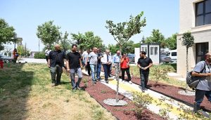 Vali Yavuz, Rezerv Alanları Basınla Birlikte Yerinde İnceledi