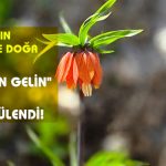 Beydağı’nın Zirvesinde Doğa Mucizesi: “Ağlayan Gelin” İlk Kez Görüntülendi!