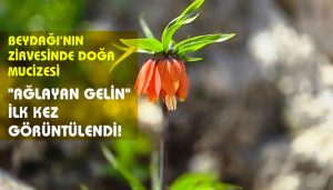 Beydağı’nın Zirvesinde Doğa Mucizesi: “Ağlayan Gelin” İlk Kez Görüntülendi!