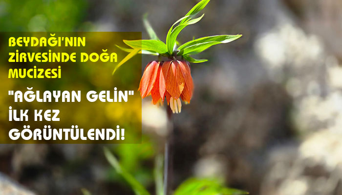 Beydağı’nın Zirvesinde Doğa Mucizesi: “Ağlayan Gelin” İlk Kez Görüntülendi!