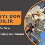 Malatya’da Bahçeleri Zirai Don Olayından Korunma Yöntemleri