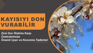 Malatya’da Bahçeleri Zirai Don Olayından Korunma Yöntemleri