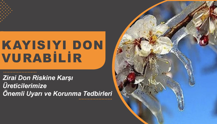 Malatya’da Bahçeleri Zirai Don Olayından Korunma Yöntemleri