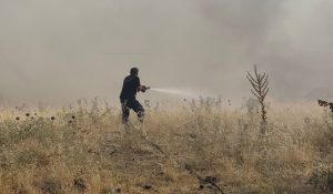 Pütürge’deki Yangına 55 Personel ve 20 Araçla Müdahale Sürüyor