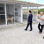 Başkan Taşkın, Hayvan Barınağında İncelemelerde Bulundu