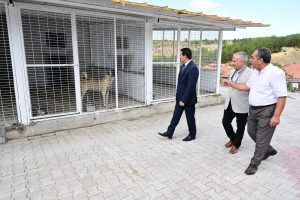 Başkan Taşkın, Hayvan Barınağında İncelemelerde Bulundu