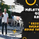 Malatya’nın Gururu Kaçkar, Erzurum’da Başkan Geçit Adına Yarışacak